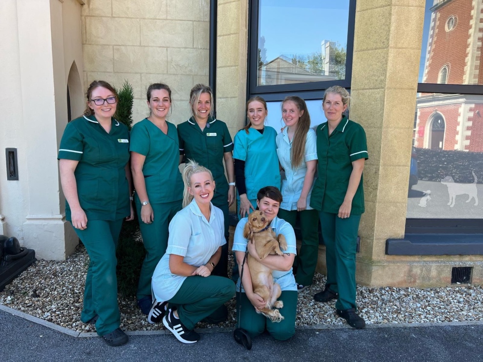 Open day fun at Exeter vet practice The Exeter Daily